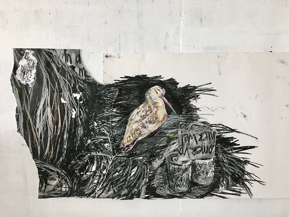 vogel